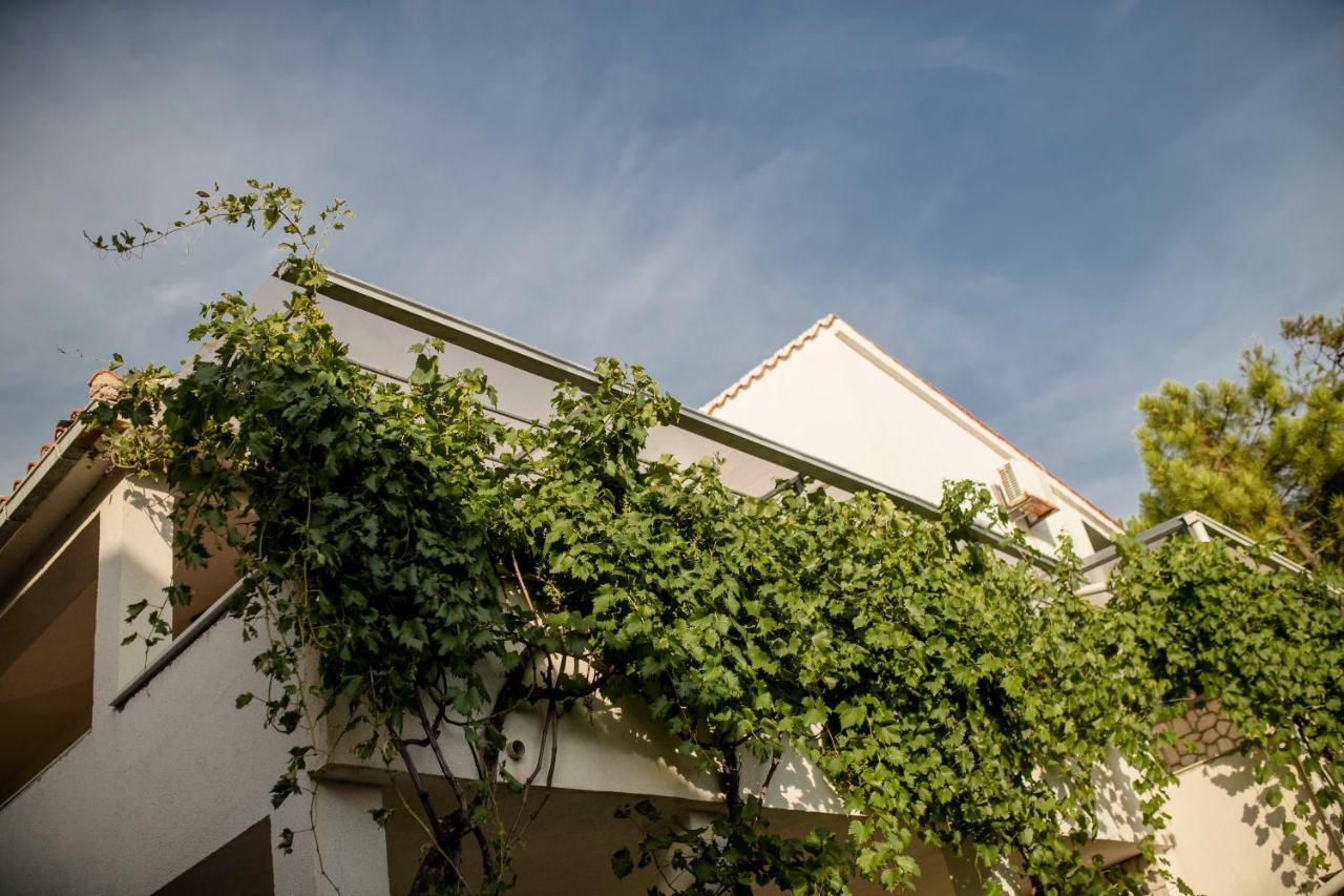 Guesthouse Sime Kolan Exterior foto